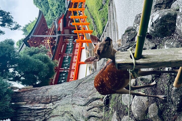Nara Adventure: Todaiji, Kasuga Shrine, Nara Park, Hozanji Temple — photo 11