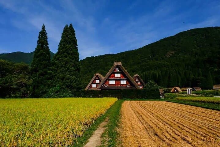 Shirakawago & Hida Takayama One Day Bus Tour from Nagoya