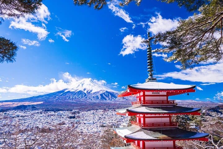 Mt Fuji & Hakone Scenic Day Tour with Lake Ashi Cruise & Ropeway — photo 6