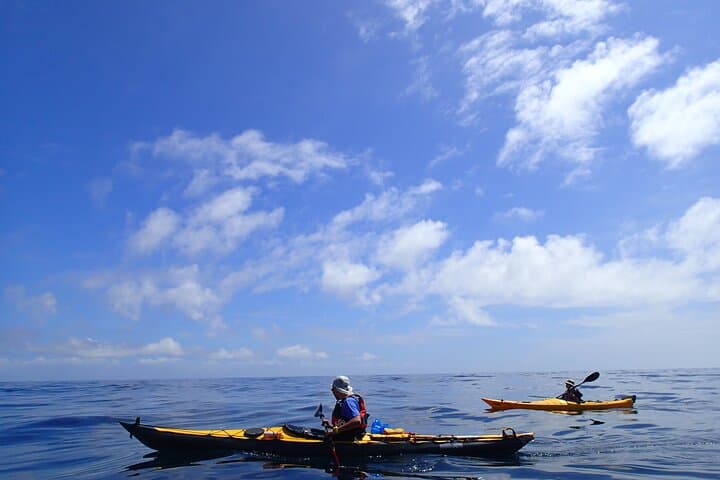 First Seakayak Tour — photo 7