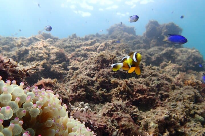 First Seakayak Tour — photo 8