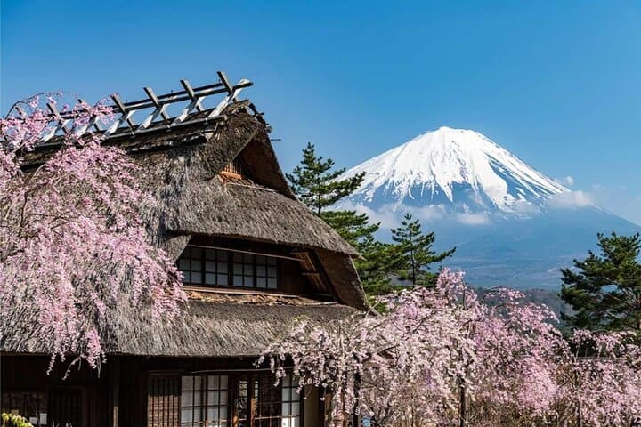Japan Mount Fuji Tour – Special Discount Offer — photo 4