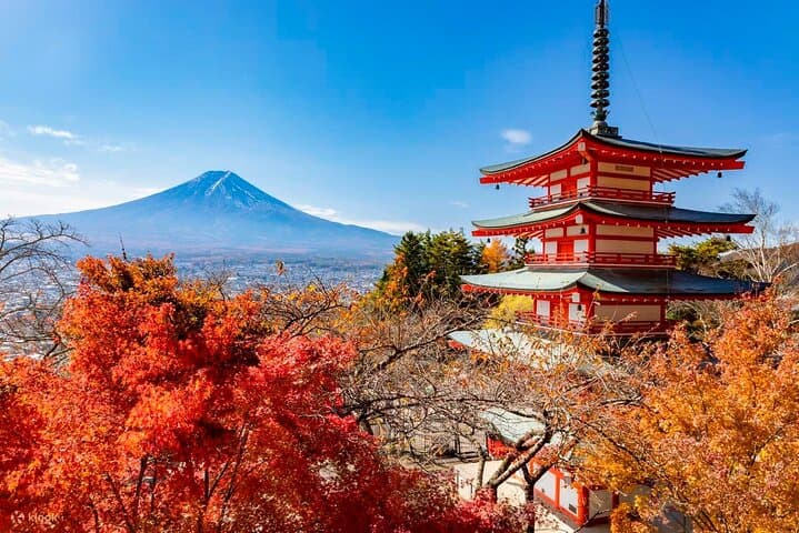Japan Mount Fuji Tour – Special Discount Offer — photo 5