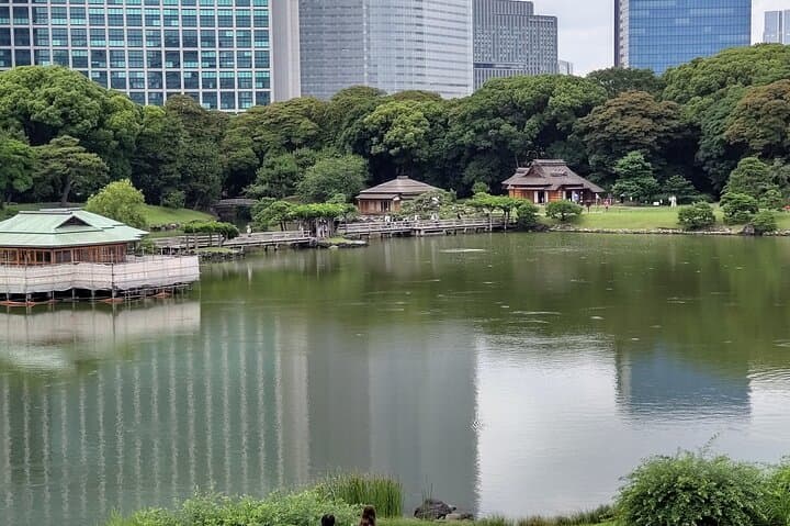 Private Chartered-Taxi Tokyo Tour with Certified Japanese guide — photo 3
