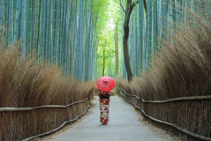 Ultimate Kyoto Arashiyama Tour: Bamboo, Monkeys & Hidden Gardens — photo 11