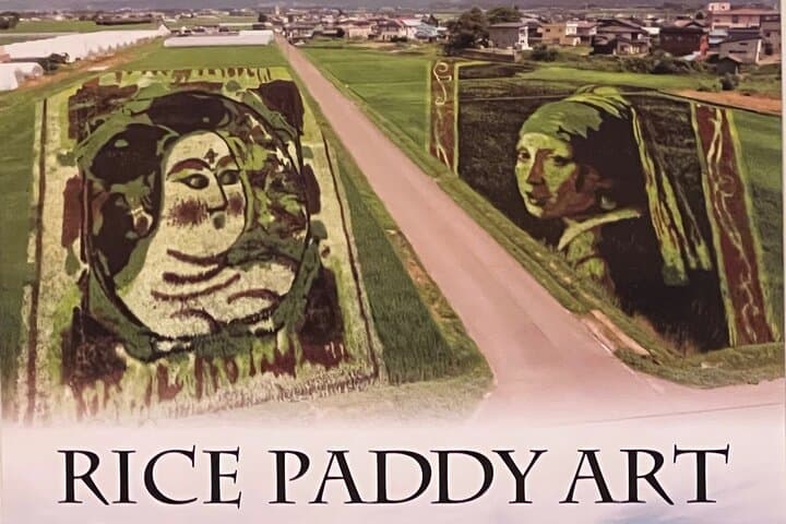 Rice Paddy Art Half day tour in Aomori — photo 8