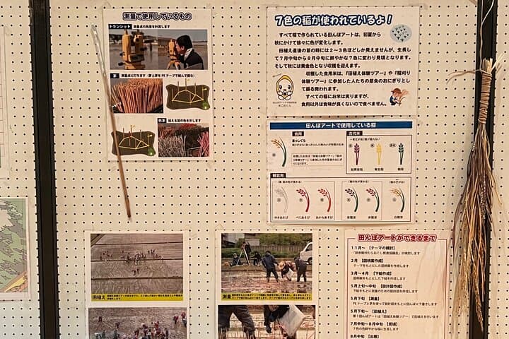 Rice Paddy Art Half day tour in Aomori — photo 10