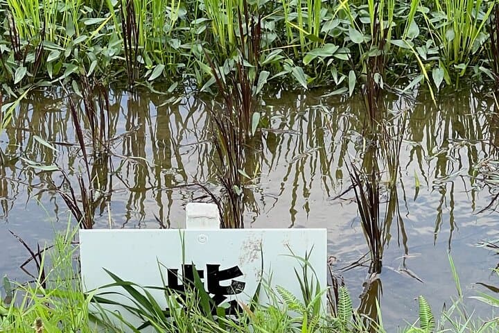 Rice Paddy Art Half day tour in Aomori — photo 14