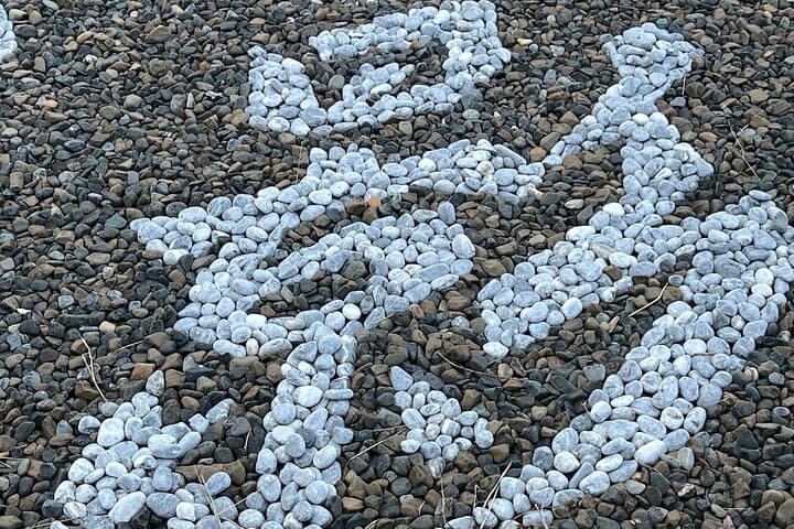 Rice Paddy Art Half day tour in Aomori — photo 19