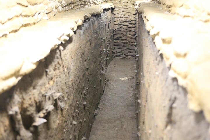 Aomori Full-Day Private Tour with Government Licensed Guide — photo 9
