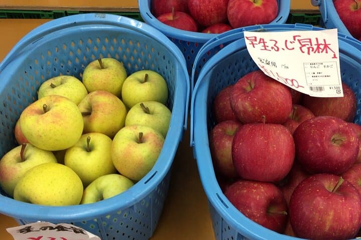 Aomori Full-Day Private Tour with Government Licensed Guide — photo 20