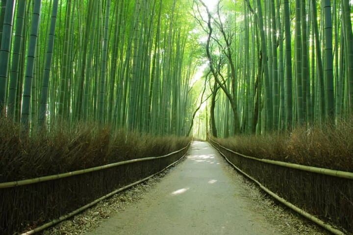 Arashiyama Kinkakuji Temple Nara Park Tour from Osaka and Kyoto — photo 3