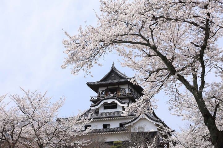 From Nagoya: Samurai Swords and Inuyama Castle Private Tour — photo 5