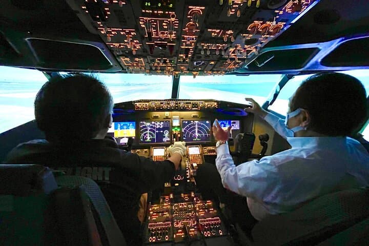 Tokyo 6hr Private Guided Tour and Flight Simulator Experience — photo 2