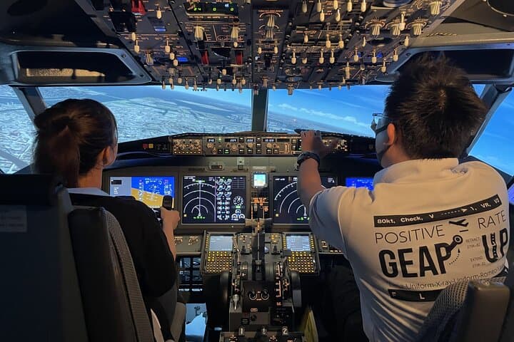 Tokyo 6hr Private Guided Tour and Flight Simulator Experience — photo 1