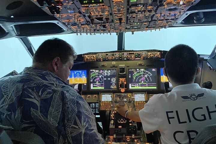 Tokyo 6hr Private Guided Tour and Flight Simulator Experience — photo 3