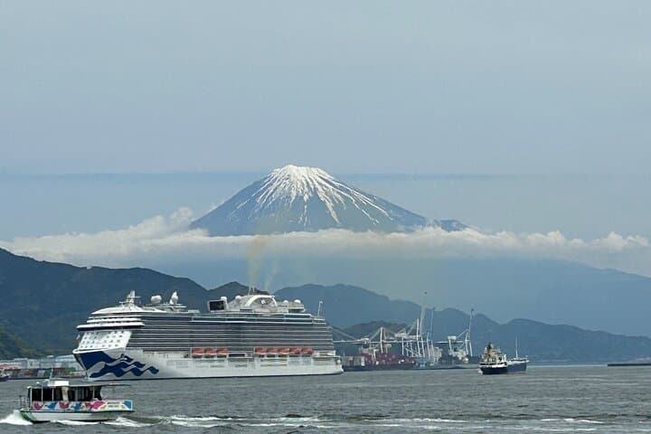 Step- Free easy going tour from Shimizu Port / Sedan Taxi — photo 5