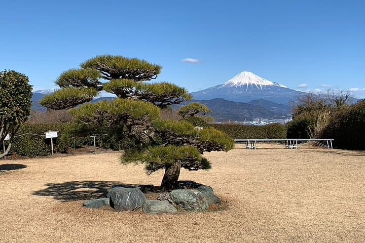 Step- Free easy going tour from Shimizu Port / Sedan Taxi — photo 9