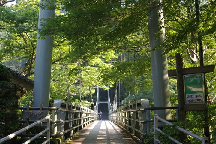 Tokyo's Oldest Sake Brewery and jump into historic town — photo 12