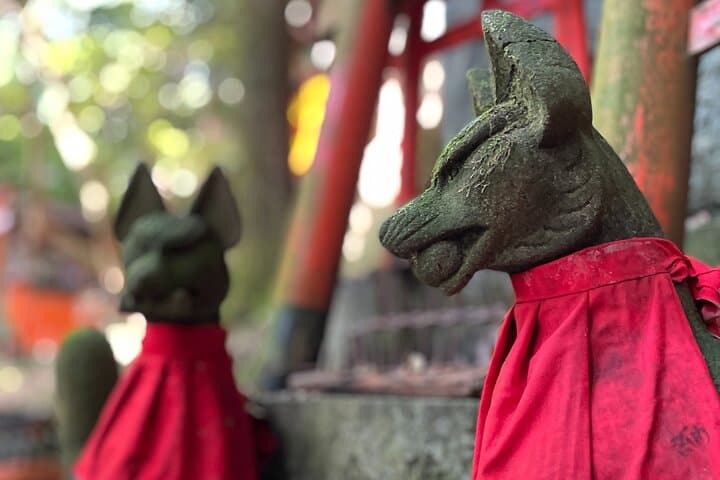 Kyoto Fushimi-Inari Night Walking Tour — photo 16