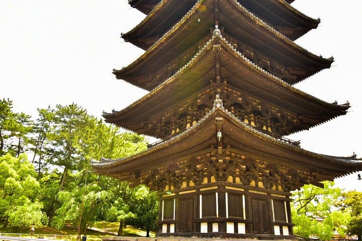 Nara World Heritage PRIVATE TOUR — photo 20