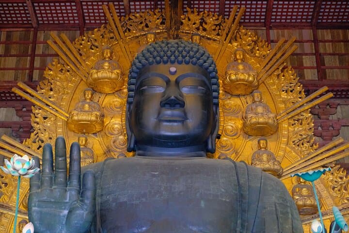 Nara World Heritage PRIVATE TOUR — photo 16