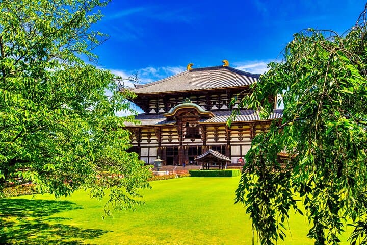 Nara World Heritage PRIVATE TOUR — photo 15