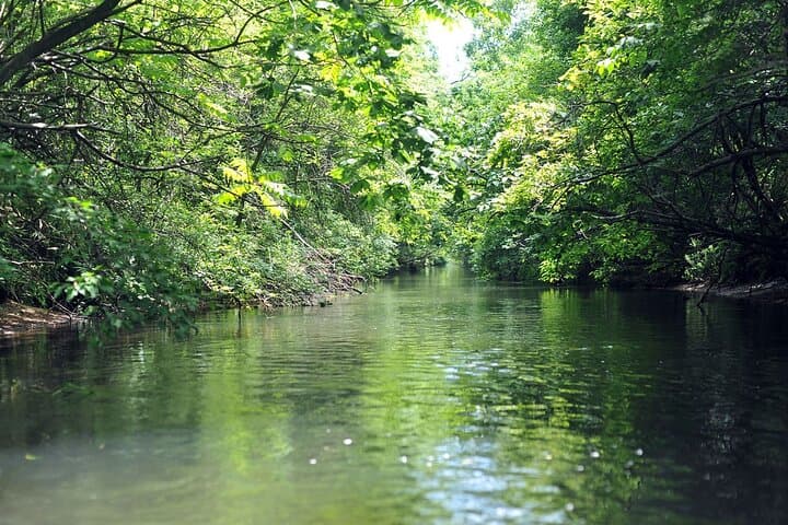 2 Hour Canoe on the Bibi River — photo 2