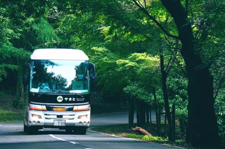 Perfect Nara Park Half-Day Bus Tour with English Speaking Guide — photo 6