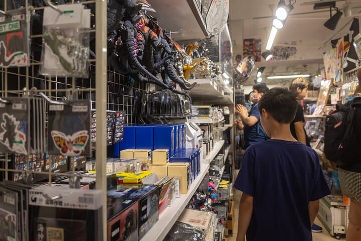 Customizable car tours in Tokyo — photo 12