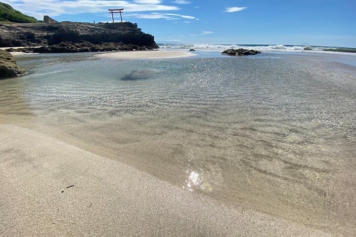 Shimoda Local Guide — photo 16