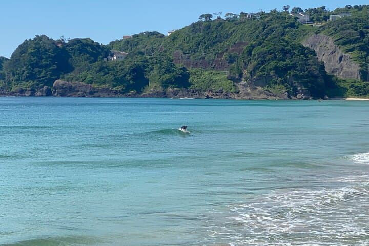 Shimoda Local Guide — photo 10