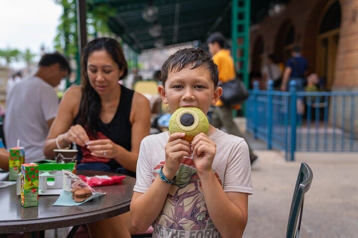 Full Day Private Guided Photographer and Driver in Tokyo Disney — photo 14