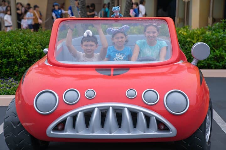 Full Day Private Guided Photographer and Driver in Tokyo Disney — photo 17