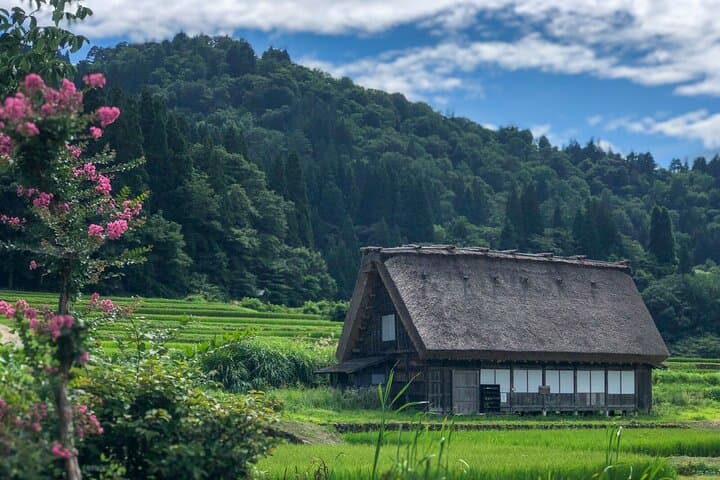 From Nagoya: Hida Takayama & Shirakawago Tour (Small Group) — photo 11