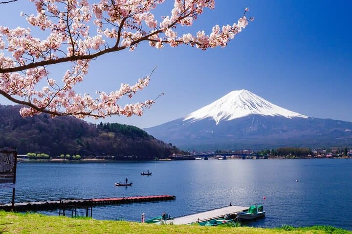 Mt. Fuji Tours to Lake Kawaguchi and Yamanaka Onsen English Guide — photo 3
