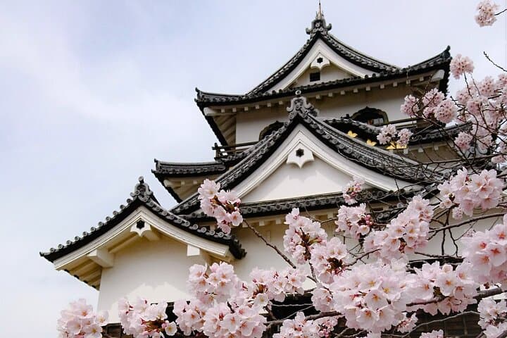 From Nagoya: Castles and Canals in Hikone and Omi Hachiman — photo 2