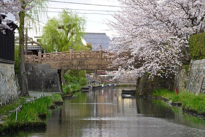 From Nagoya: Castles and Canals in Hikone and Omi Hachiman — photo 11