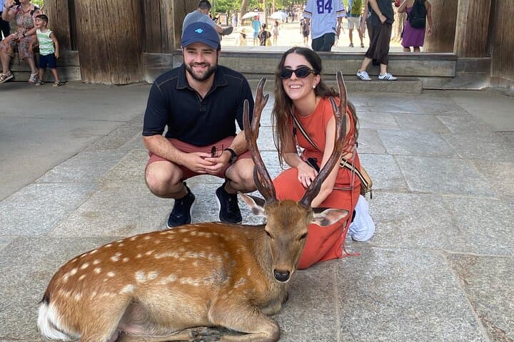 Exclusive Luxury Day Tours Serene Nara — photo 4