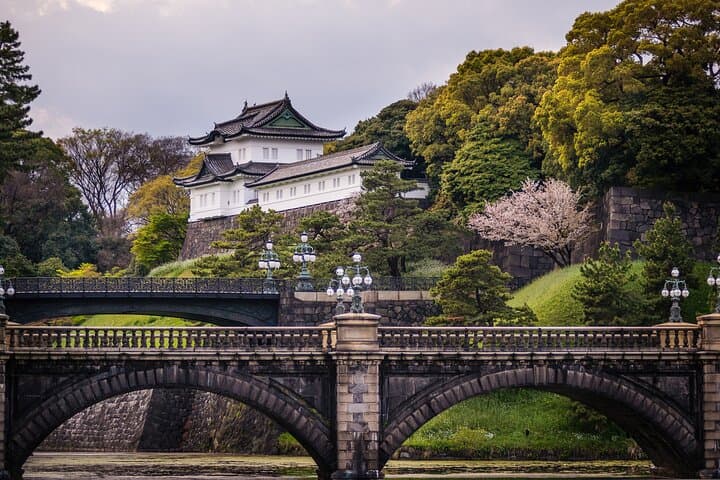 Tokyo City Tour — photo 2