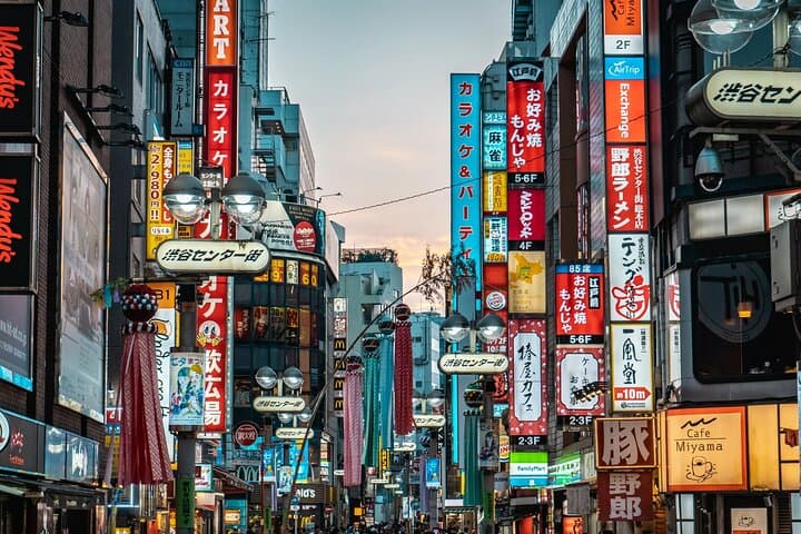 Tokyo City Tour — photo 3