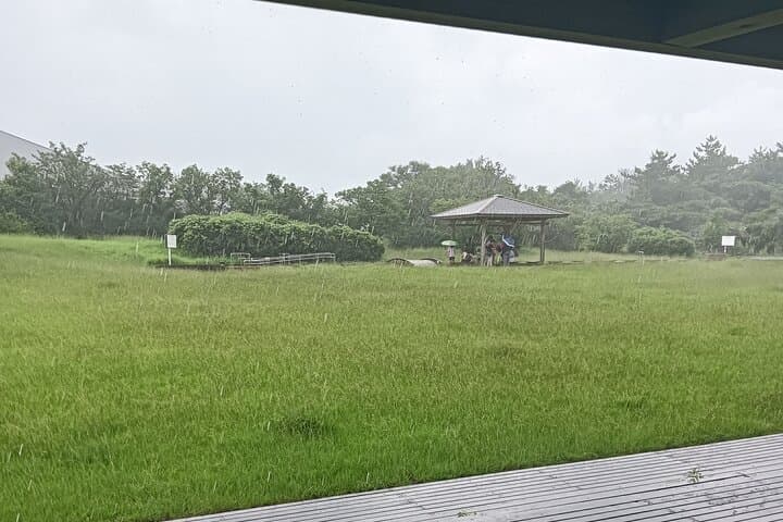 Kagoshima Family-Friendly Adventure — photo 9