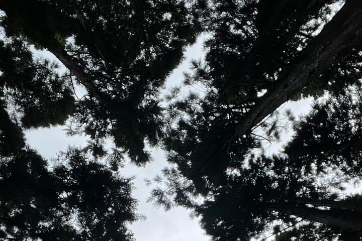 Shirakawago Gujo Hachiman & Hida Takayama Day tour from Nagoya — photo 16
