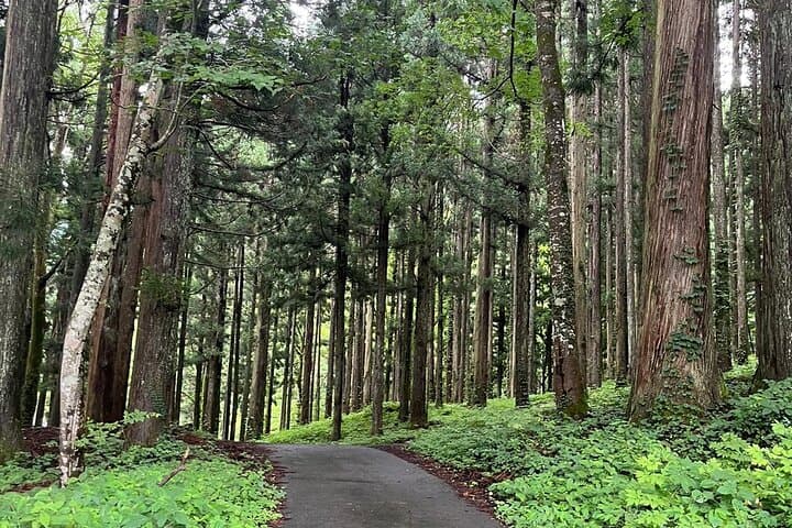 Shirakawago Gujo Hachiman & Hida Takayama Day tour from Nagoya — photo 2