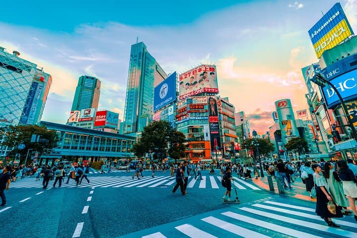 The Best of Tokyo: Tailored 1-2-Day Private Tour — photo 15