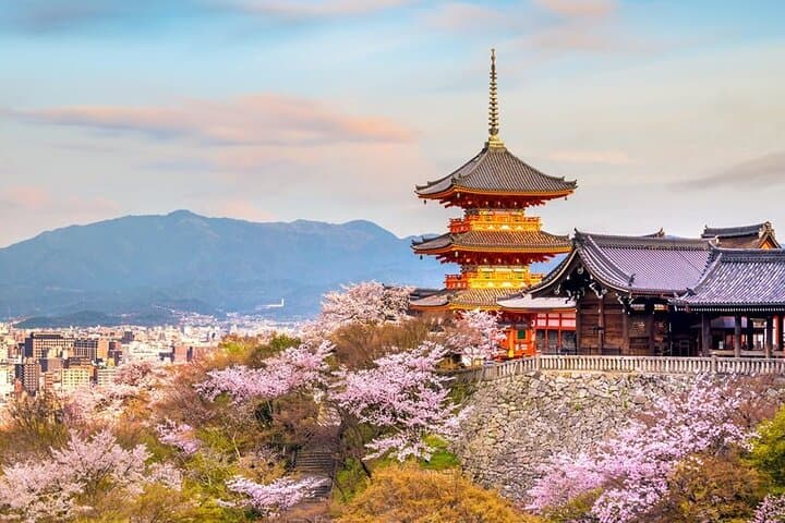 Osaka & Kyoto & Nara Top Hightlights English Speaking Tour — photo 1