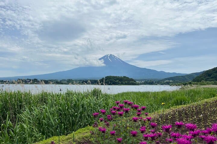 Experience the Stunning Nature of Mt.Fuji - Private Tour — photo 16