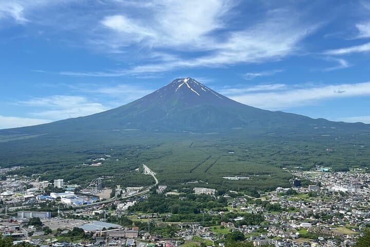 Experience the Stunning Nature of Mt.Fuji - Private Tour — photo 18