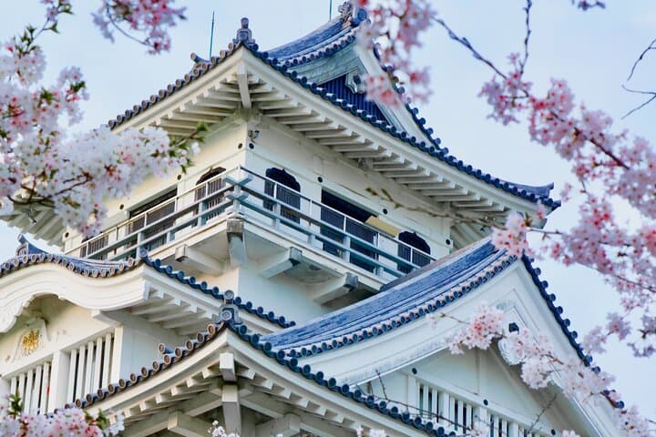 Nagahama Private Walking Tour — photo 14