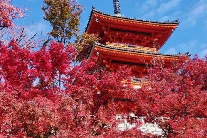 Kyoto tour 12 hours Private Nagoya pick up available — photo 2
